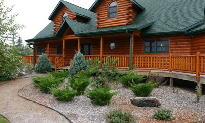 Portal drzewno leśny