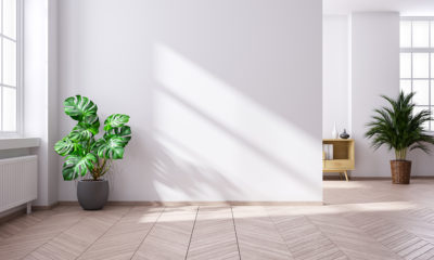 Portal drzewno leśny