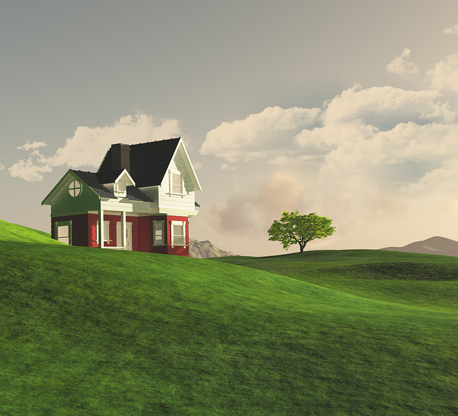 Portal branży drzewnej, leśnej i meblarskiej