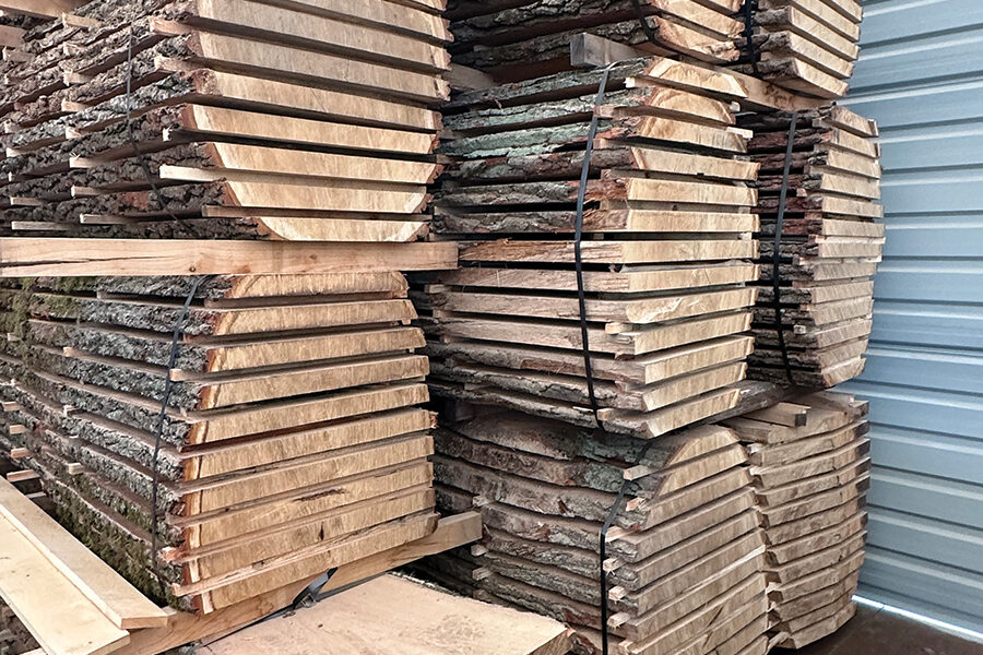 tarcica dębowa well dry