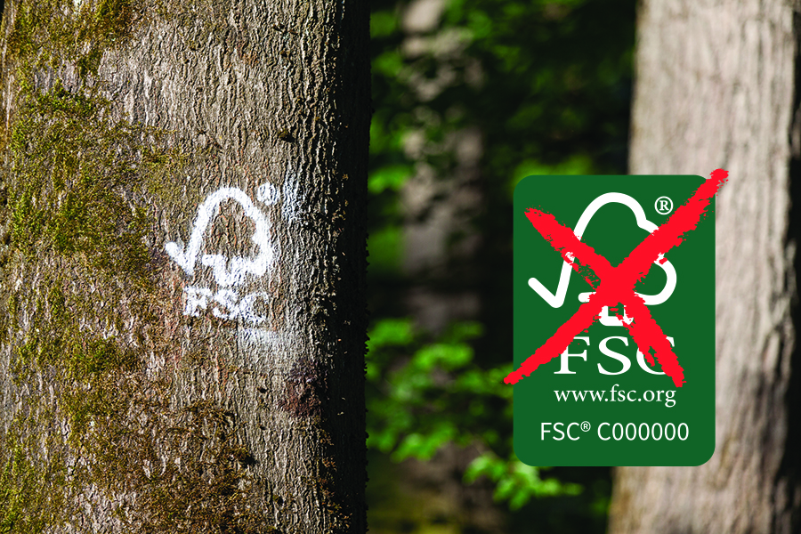 Nie będzie certyfikacji FSC w Dyrekcji Generalnej Lasów Państwowych?