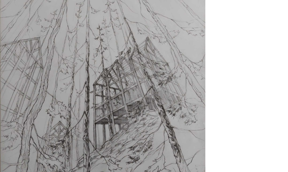 Drewno w architekturze