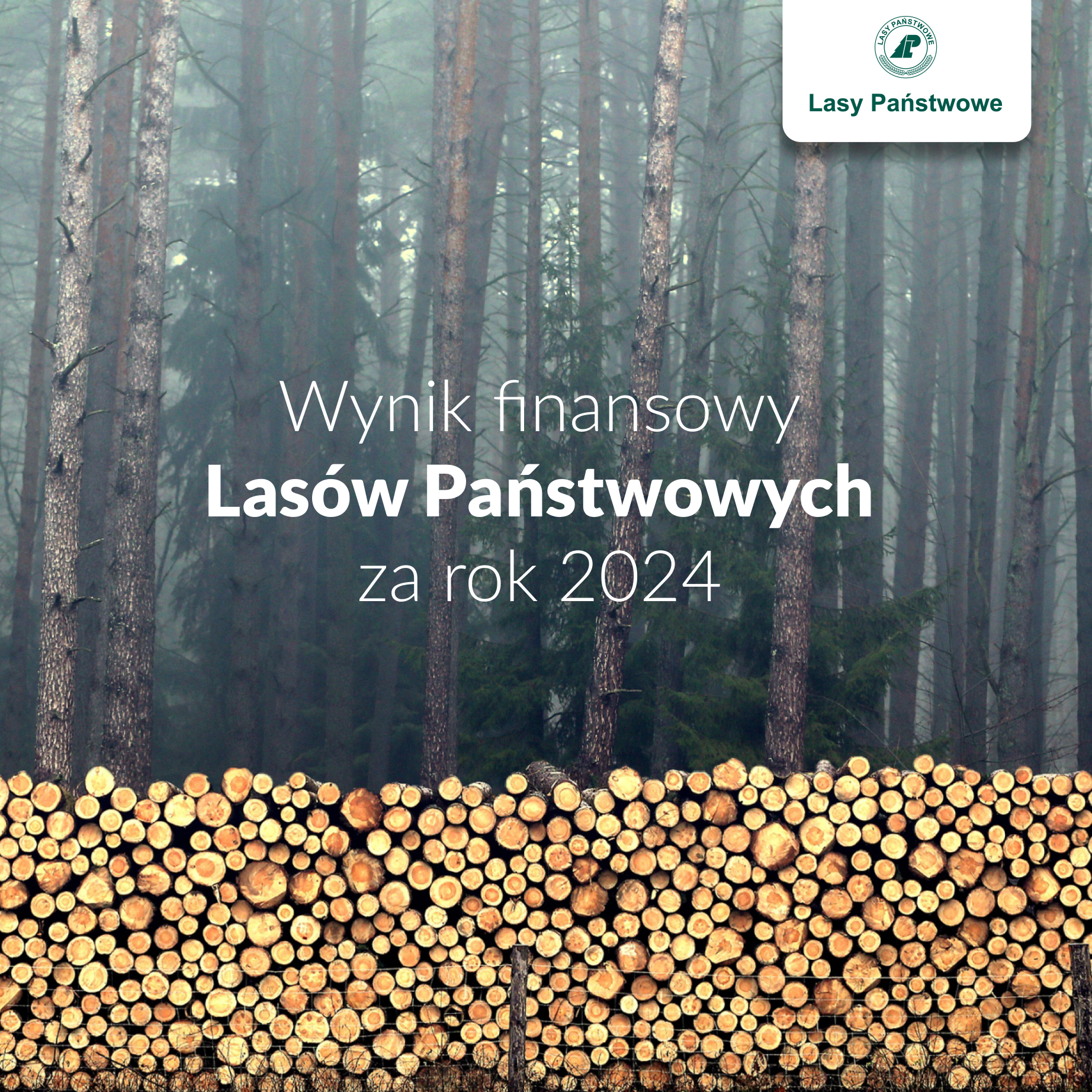 Ponad 764 mln zł wyniku finansowego netto – Lasy Państwowe podsumowują rok 2024
