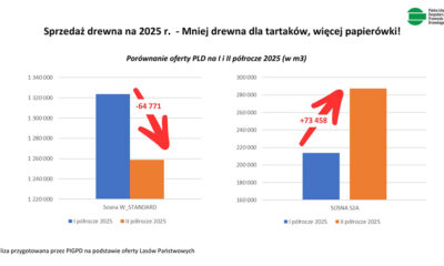 Jak ograniczenie dostępności drewna może zachwiać przyszłością polskiego sektora drzewnego?