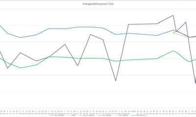 Wojna celna, ceny i trochę chaosu