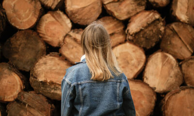 Festiwal Drewna 2025 – odkryj, jak drewno zmienia świat