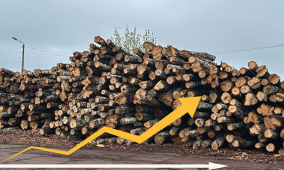 Stabilizacja z nutką niepokoju