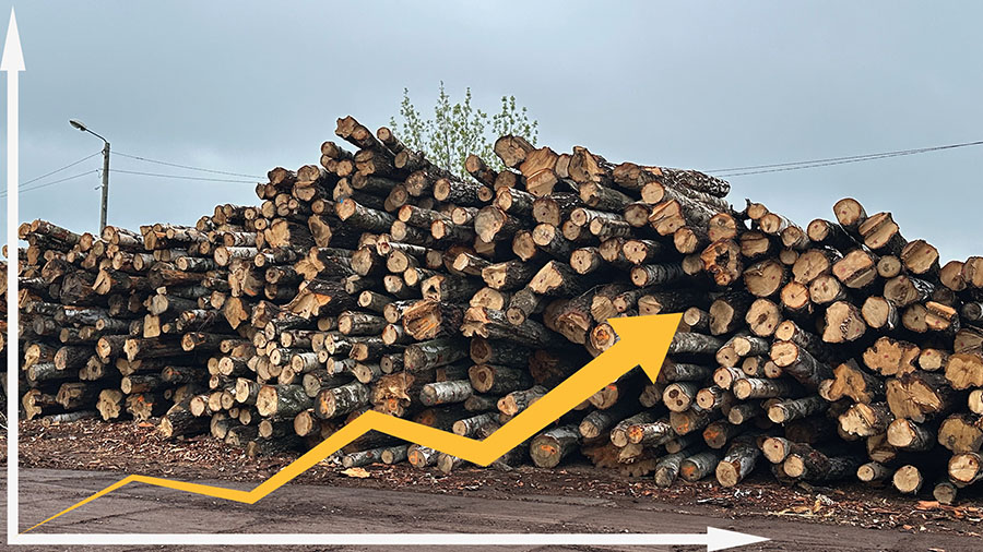 Stabilizacja z nutką niepokoju