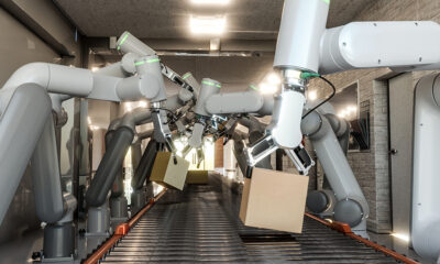 Nowoczesne technologie i zrównoważony rozwój napędzają przemysł drzewny w 2025 roku – przegląd branżowych trendów i wyzwań