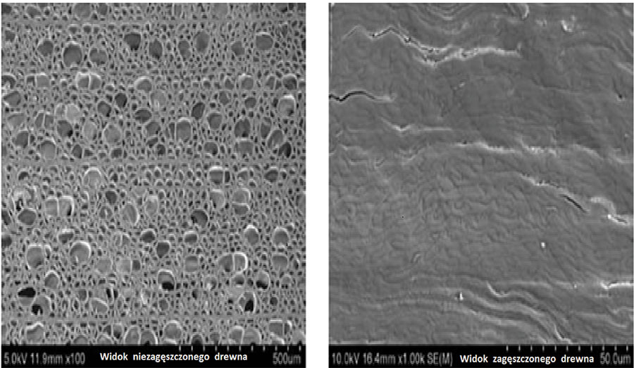 Drewno niezageszczone